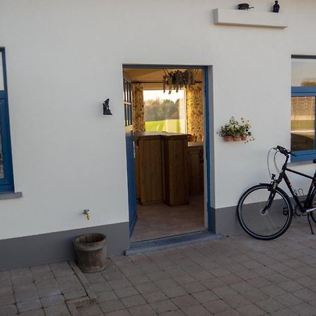 Vakantiewoning De Wilg - Rustig Gelegen Geraardsbergen Exteriér fotografie