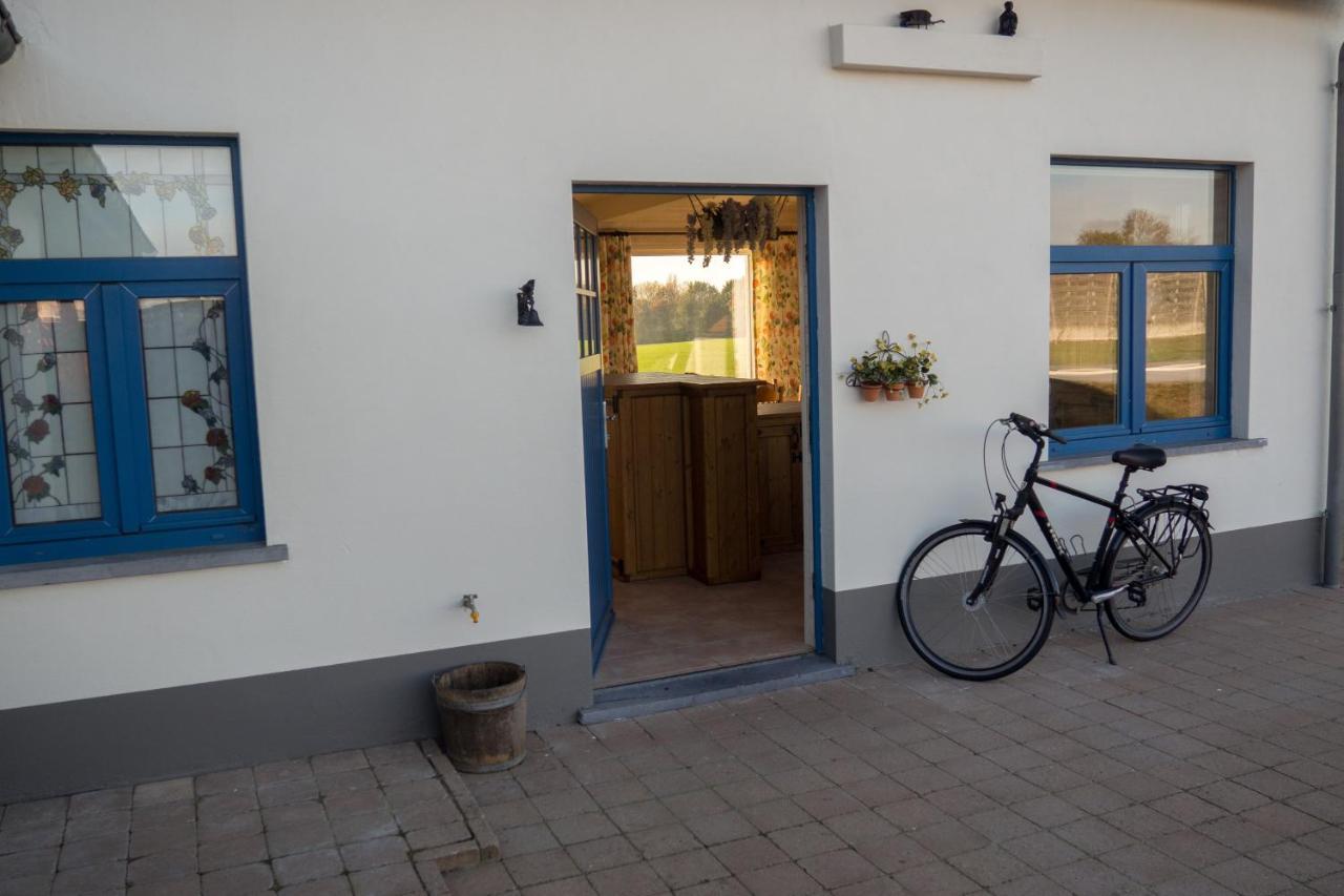 Vakantiewoning De Wilg - Rustig Gelegen Geraardsbergen Exteriér fotografie